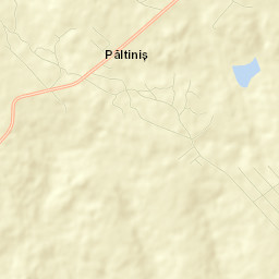 Păltiniş Street Map