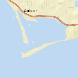 Carleton Street Map