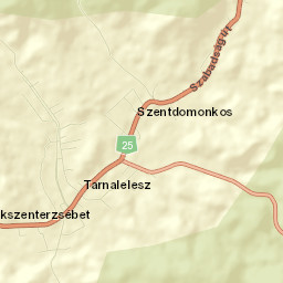 Tarnalelesz Street Map