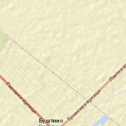 Bushtyno Street Map