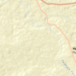 Nyzhni Petrivtsi Street Map