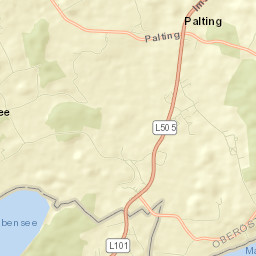 Palting Street Map
