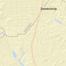 Dumbrăvița Street Map
