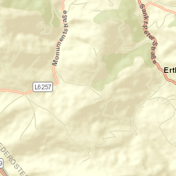 Ertl Street Map