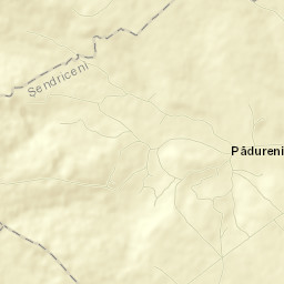 Pădureni Street Map