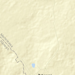 Manoleasa Street Map