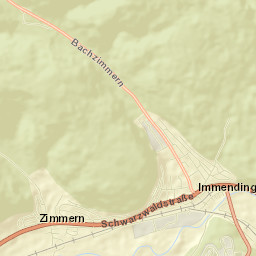 Immendingen Street Map