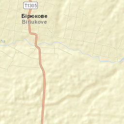 Biryukove Street Map