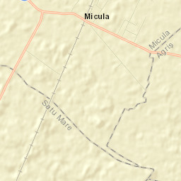 Micula Street Map