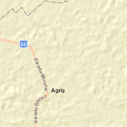 Agriș Street Map