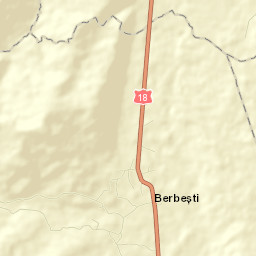 Berbești Street Map