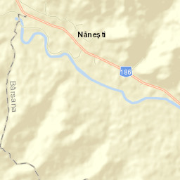 Nănești Street Map