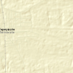 Ternuvate Street Map