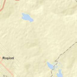 Roșiori Street Map