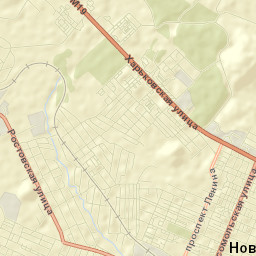 Novoshakhtinsk Street Map