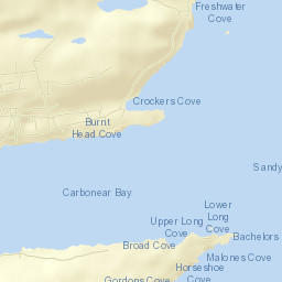 Carbonear Street Map