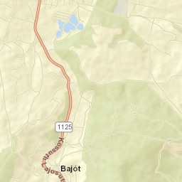 Bajót Street Map