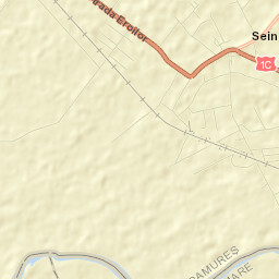 Seini Street Map