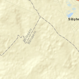 Stăuceni Street Map