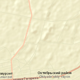 Amurzet Street Map