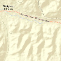 Săliştea de Sus Street Map
