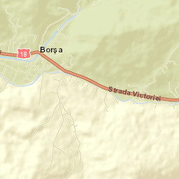 Borşa Street Map