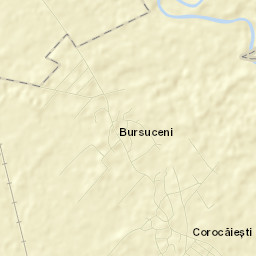 Bursuceni Street Map