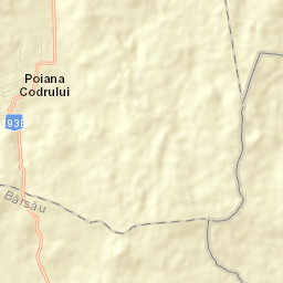 Poiana Codrului Street Map