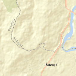 Buzești Street Map