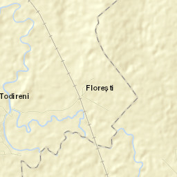 Todireni Street Map