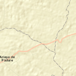 Arieșu de Pădure Street Map