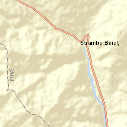 Strâmbu-Băiuț Street Map