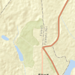 Fălești Street Map