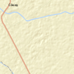 Căuaş Street Map