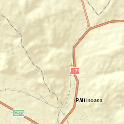 Păltinoasa Street Map