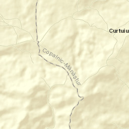 Curtuiușu Mic Street Map