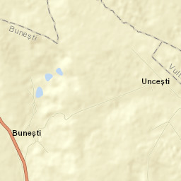 Bunești Street Map