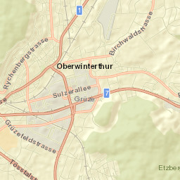 Oberwinterthur (Kreis 2) / Guggenbühl Street Map