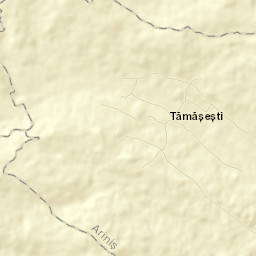 Tămășești Street Map