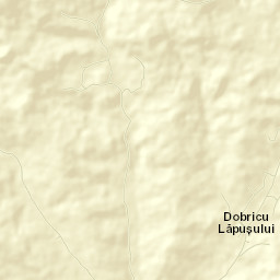 Dumbrava Street Map