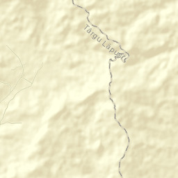Dobricu Lăpușului Street Map