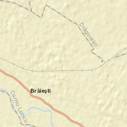 Brăiești Street Map