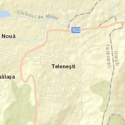 Teleneşti Street Map
