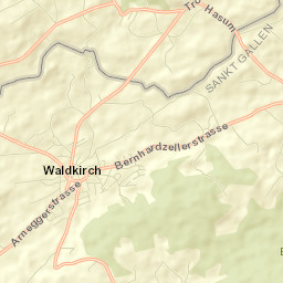 Waldkirch Street Map
