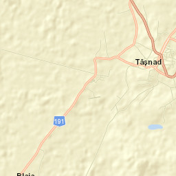 Tăşnad Street Map