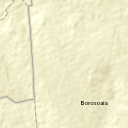 Borosoaia Street Map