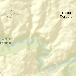 Dealu Corbului Street Map