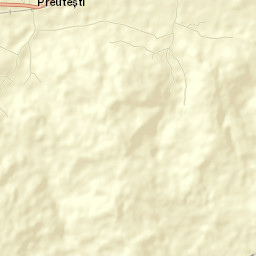 Preuteşti Street Map