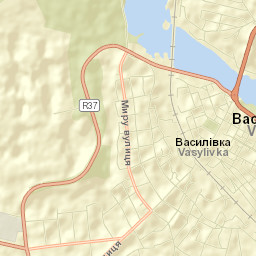Vasylivka Street Map