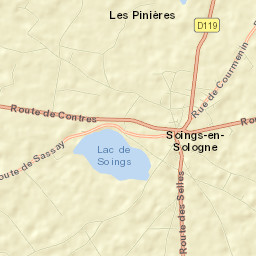 Soings-en-Sologne Street Map